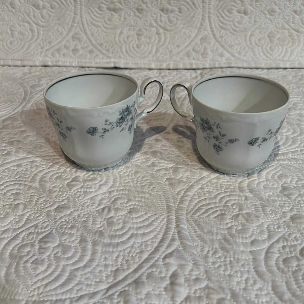 Johann Haviland Bavaria Germany Fine China cups, set of two